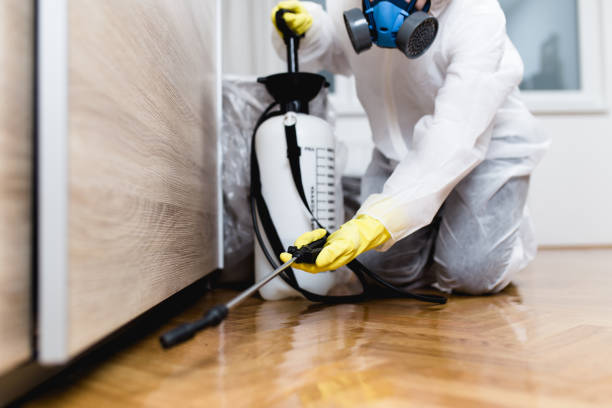 Best Residential Pest Control  in Clarence Center, NY