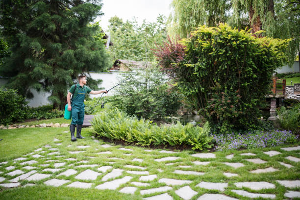 Best Ant Control Services  in Clarence Center, NY