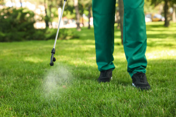 Best Local Pest Control Services  in Clarence Center, NY