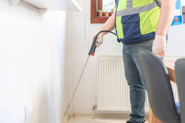 Best Wasp Removal Services  in Clarence Center, NY