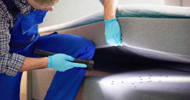 Best Exterminator Services  in Clarence Center, NY