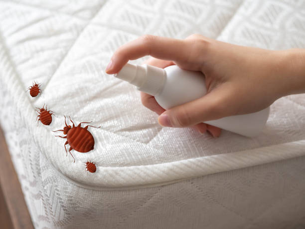 Best Pest Removal Services  in Clarence Center, NY