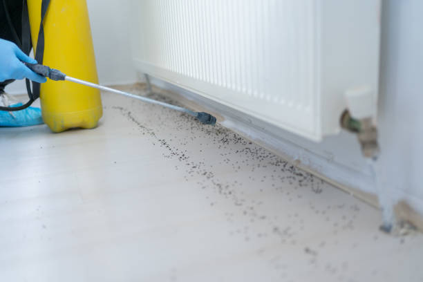 Best Best Pest Control Companies  in Clarence Center, NY
