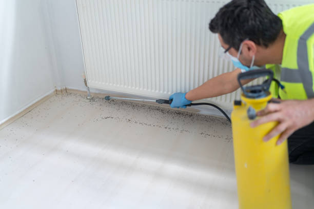 Best Pest Control Near Me  in Clarence Center, NY