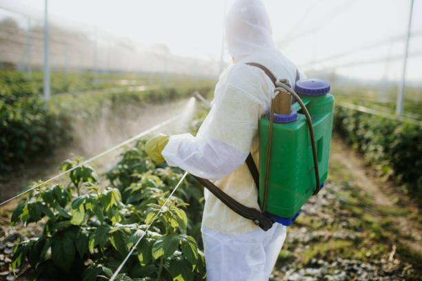 Best Best Pest Control Companies  in Clarence Center, NY
